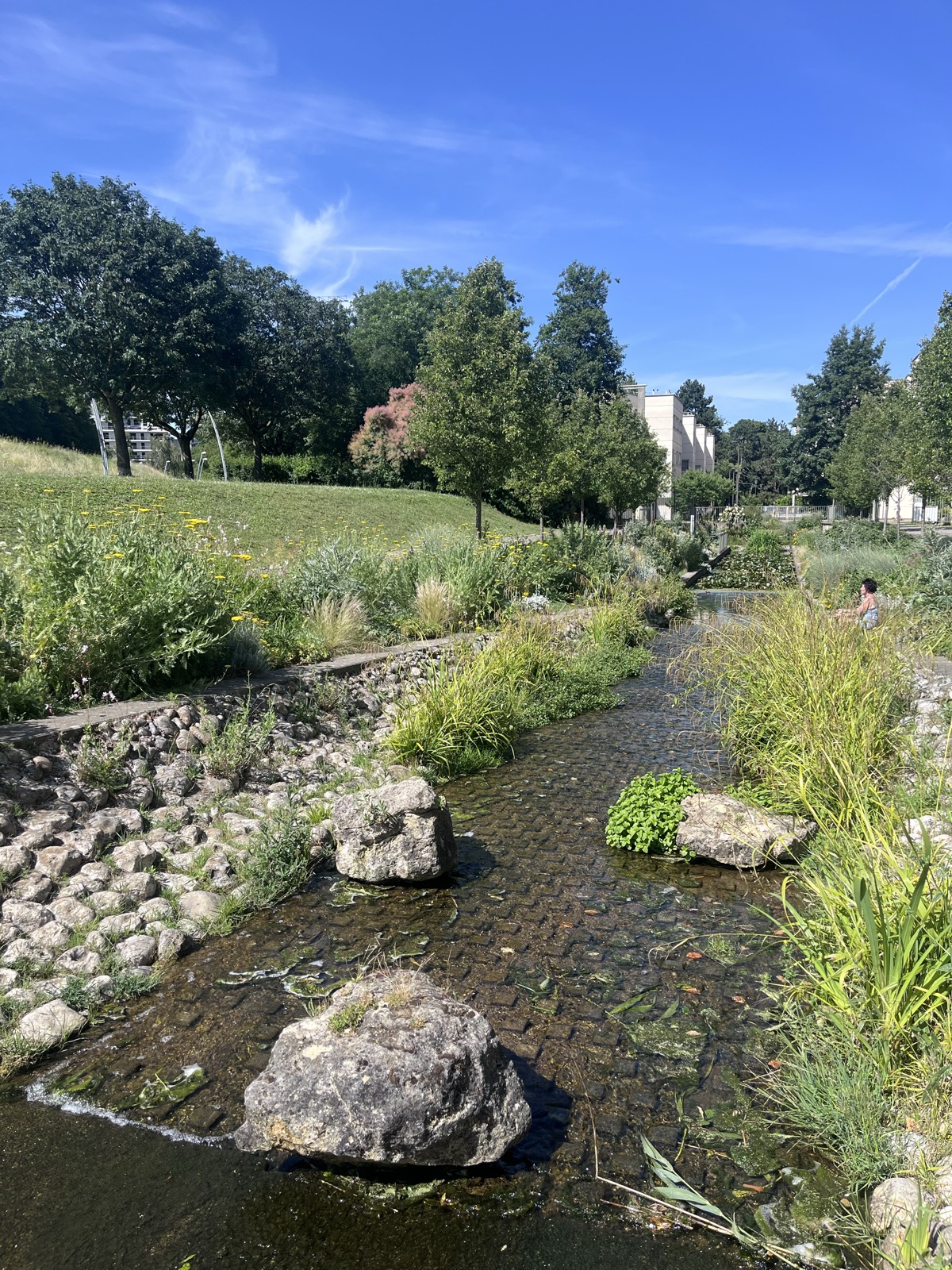 Parc départemental des Hautes-Bruyères — photo