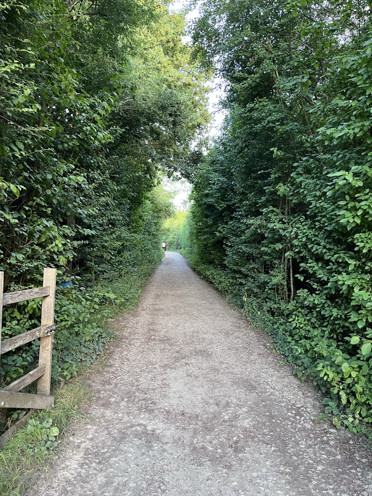 Parc départemental de la Haute-île — photo