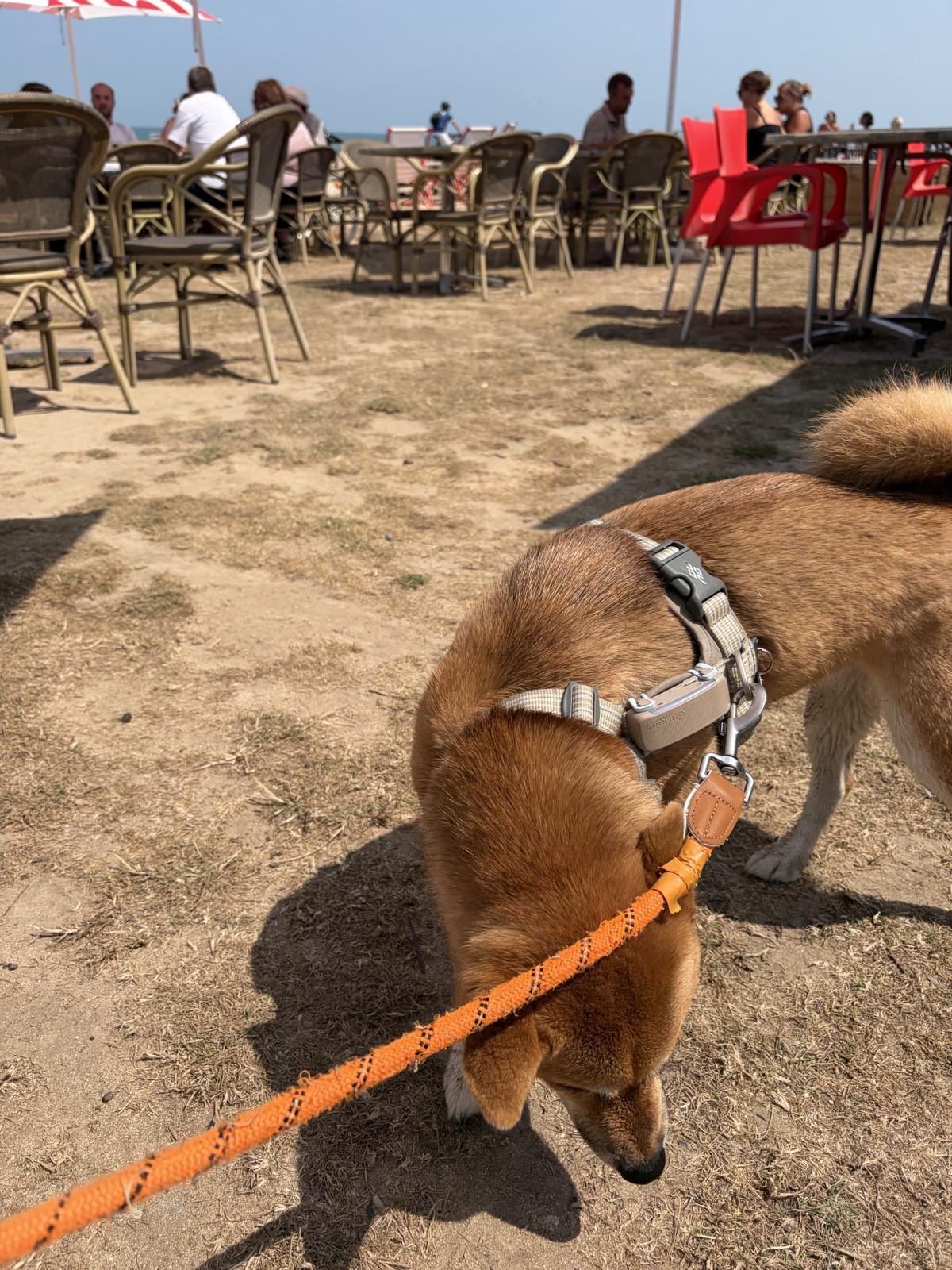 Sunny Bar — photo
