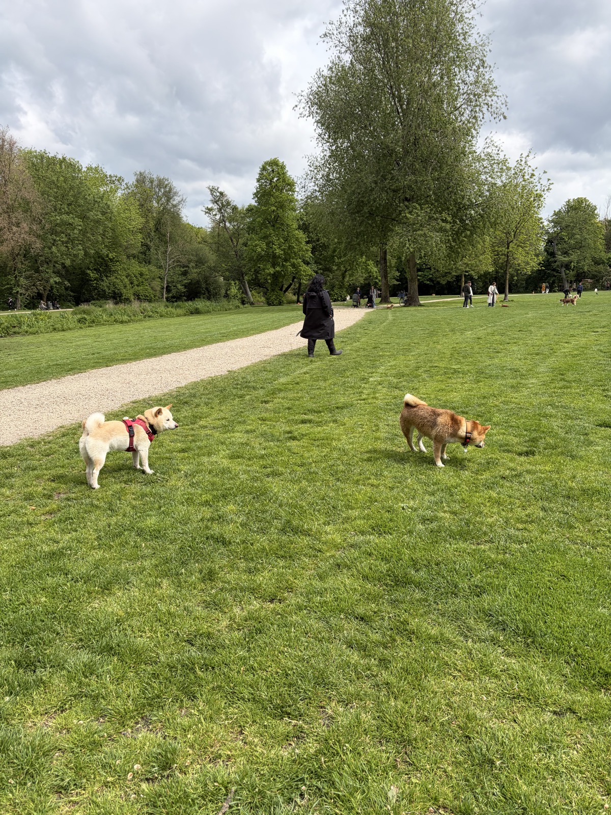 Vondelpark — photo