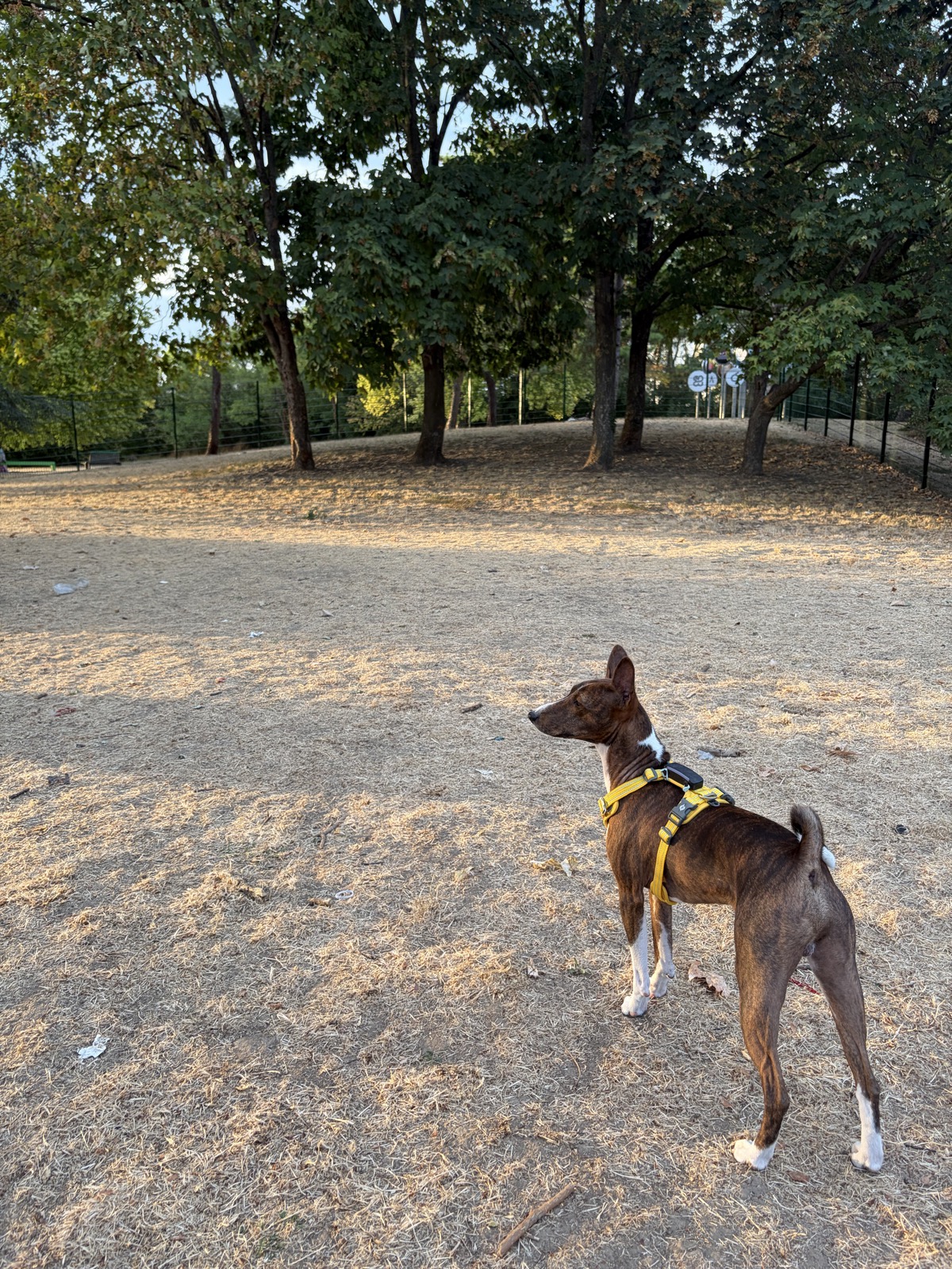 Caniparc à Bobigny — photo