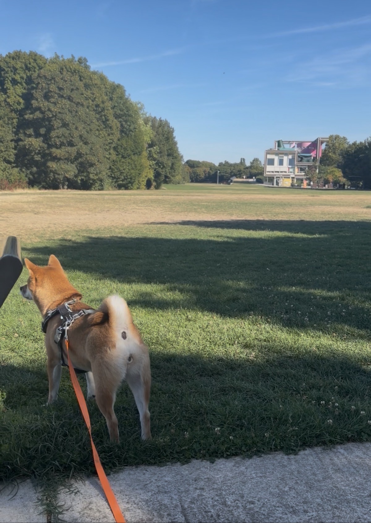 Parc départemental Jean-Moulin - Les Guilands — photo