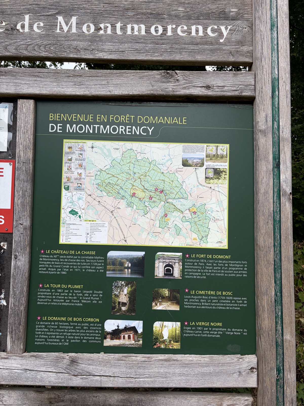 Forêt de Montmorency — photo