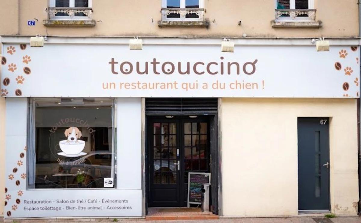 Toutouccino — photo