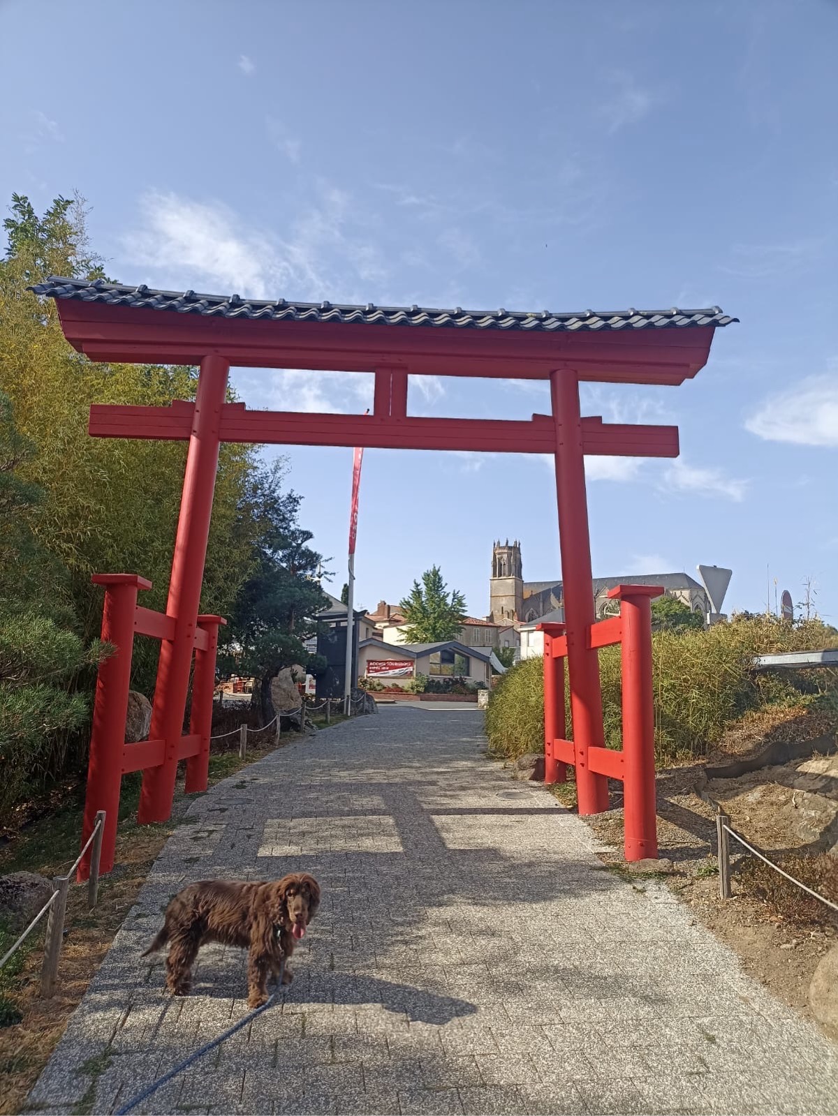 Parc Oriental de Maulévrier — photo