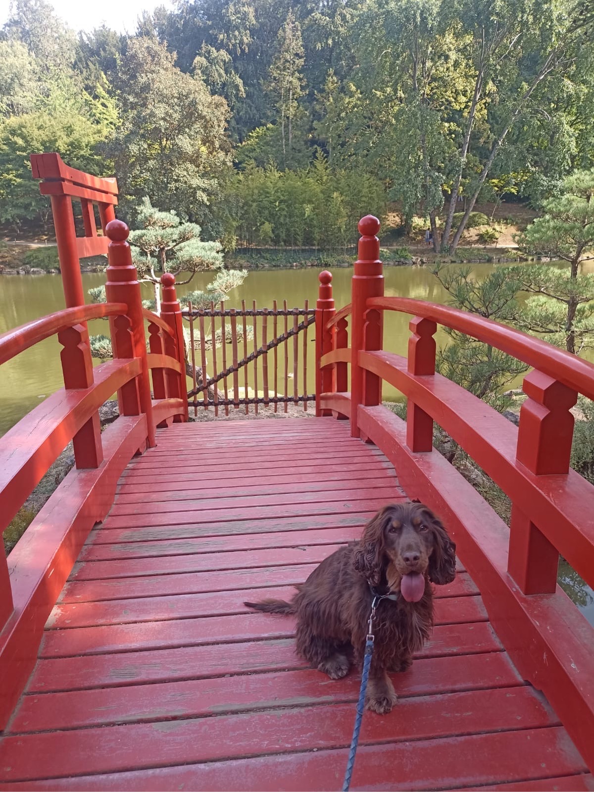 Parc Oriental de Maulévrier — photo