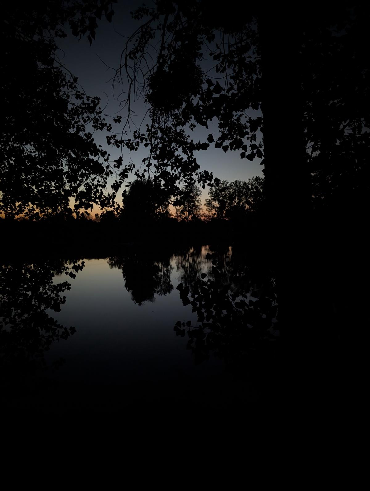 Les Étangs de la Bassée — photo