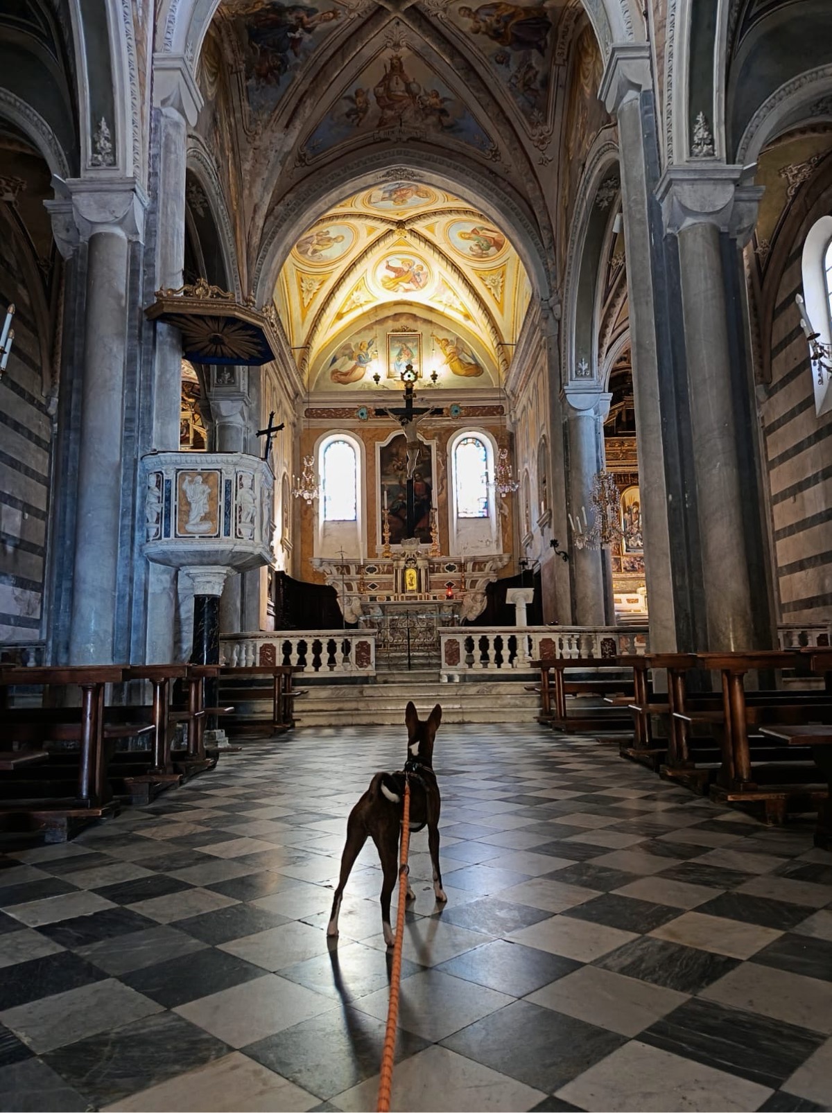 Église Saint-Pierre — photo
