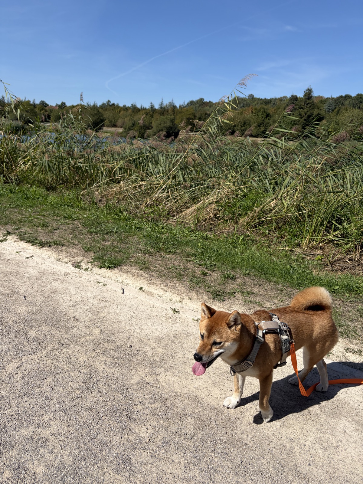 Parc du Bicheret — photo