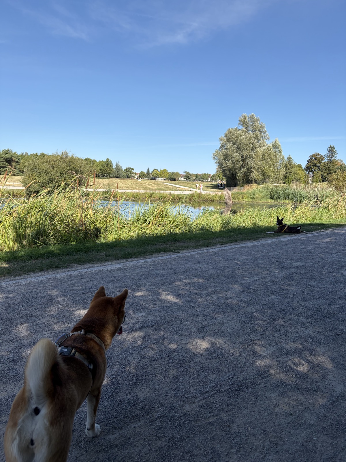Parc du Bicheret — photo