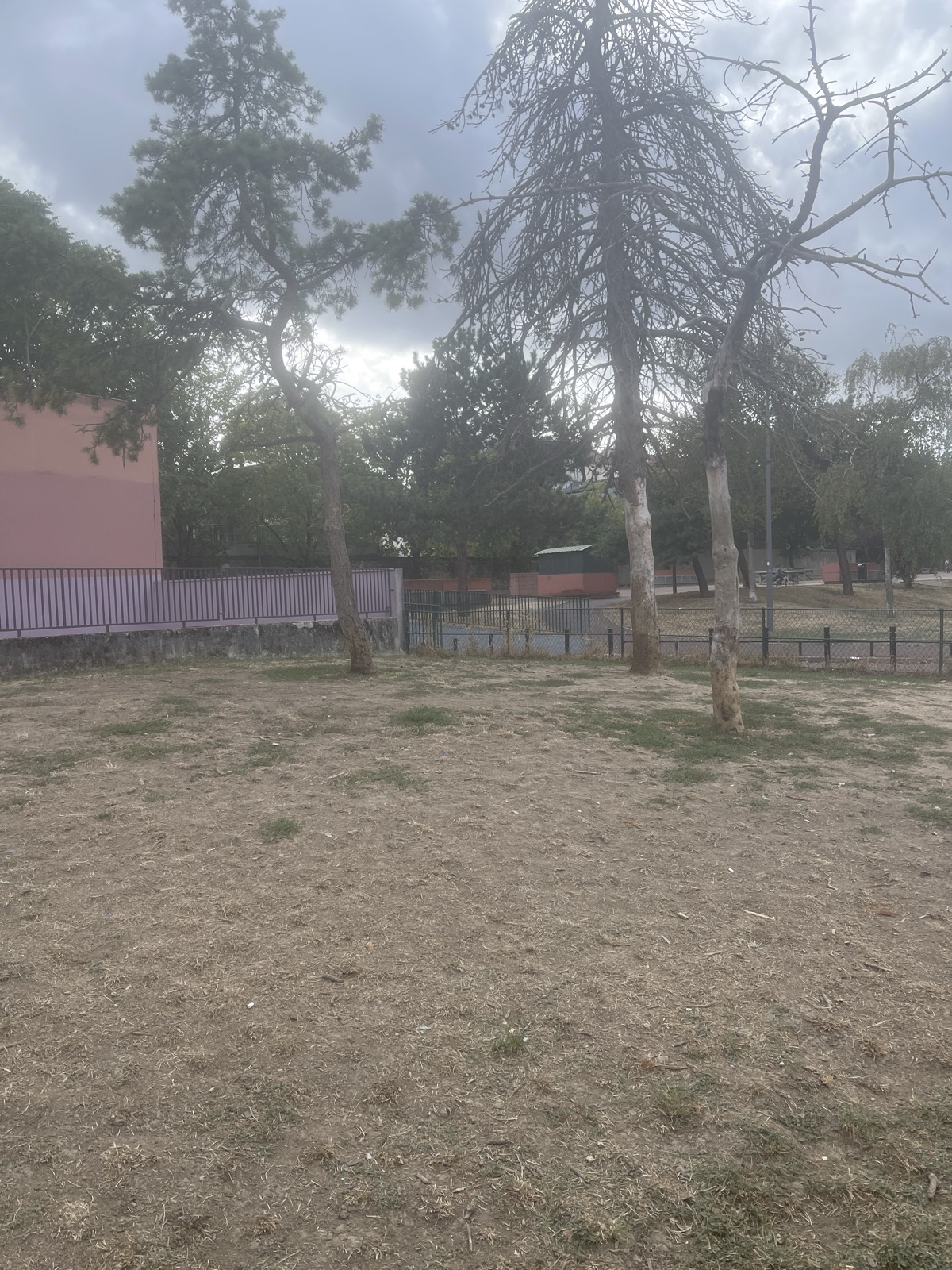 Caniparc Rue du parc — photo
