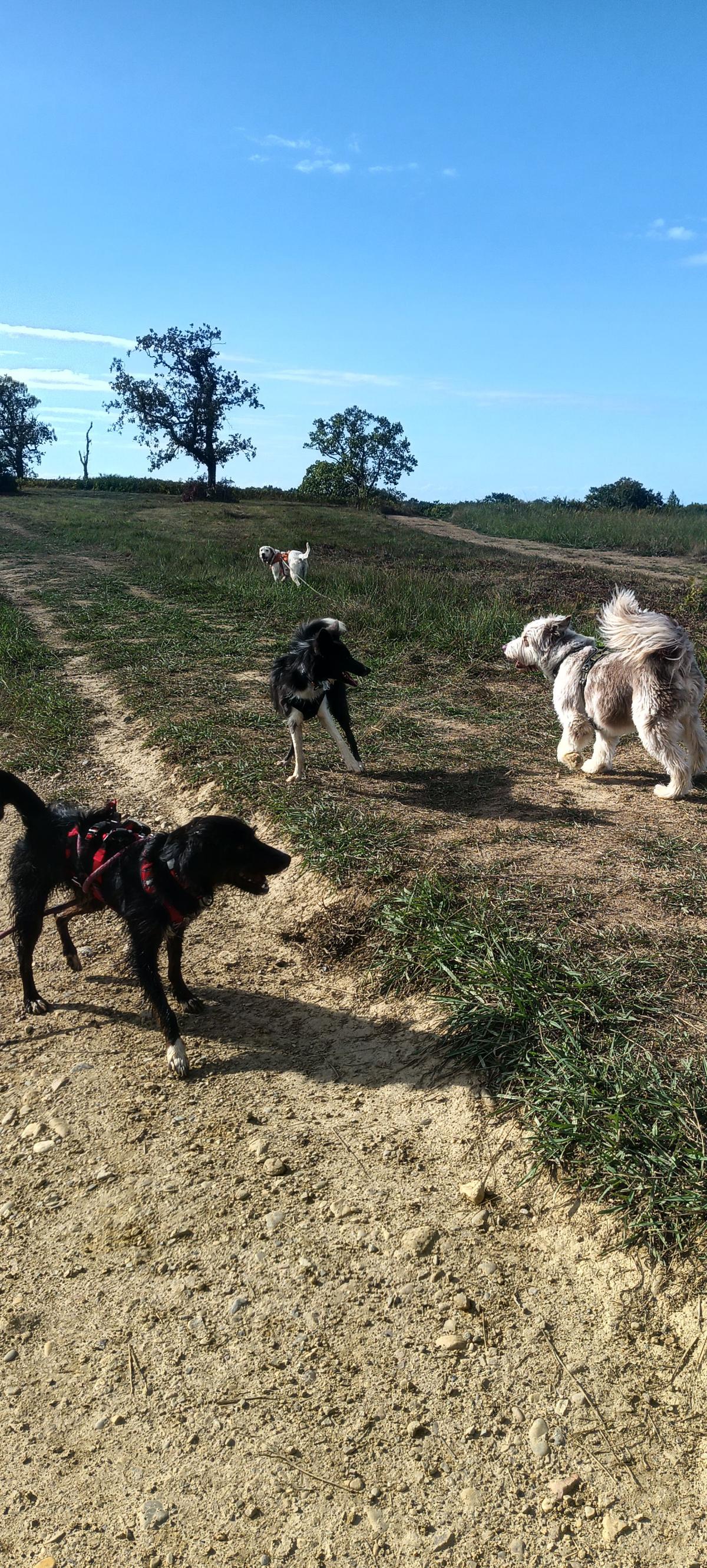 La Truffe Tranquille — photo