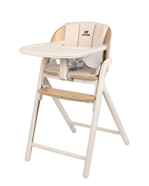 Стілець для годування CARRELLO Tenero CRL-9507 Atlantis Grey