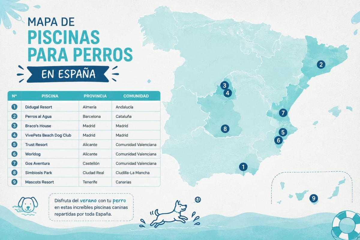 Piscinas para perros en España: guía completa de parques acuáticos caninos en 2026