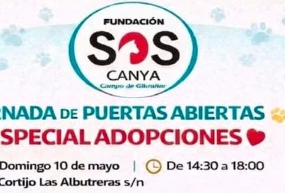 Imagen del hilo: Fiesta de la adopción Los Barrios (Cádiz)
