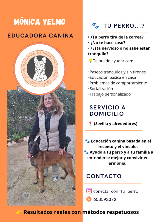Imagen del hilo: Necesitas ayuda