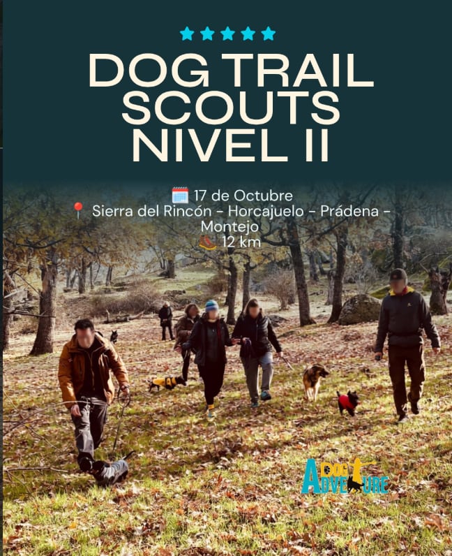 Plan perruno en Comunidad de Madrid