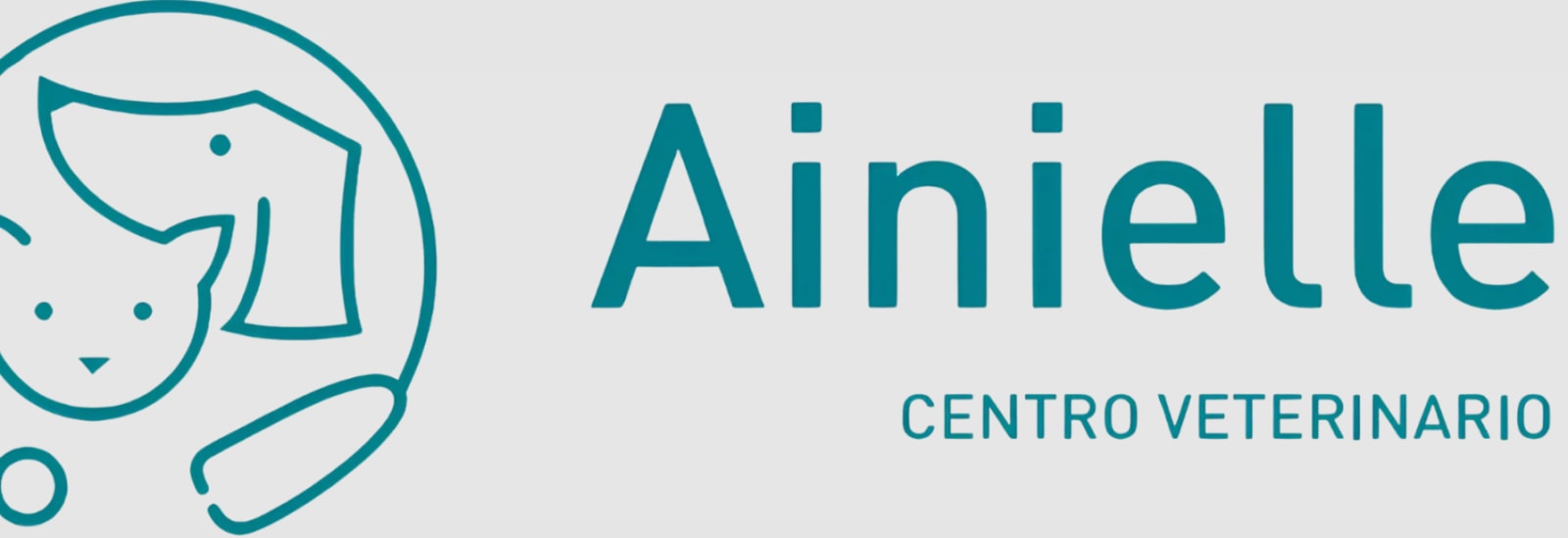 Ainielle Centro Veterinario — Veterinarios en Huesca