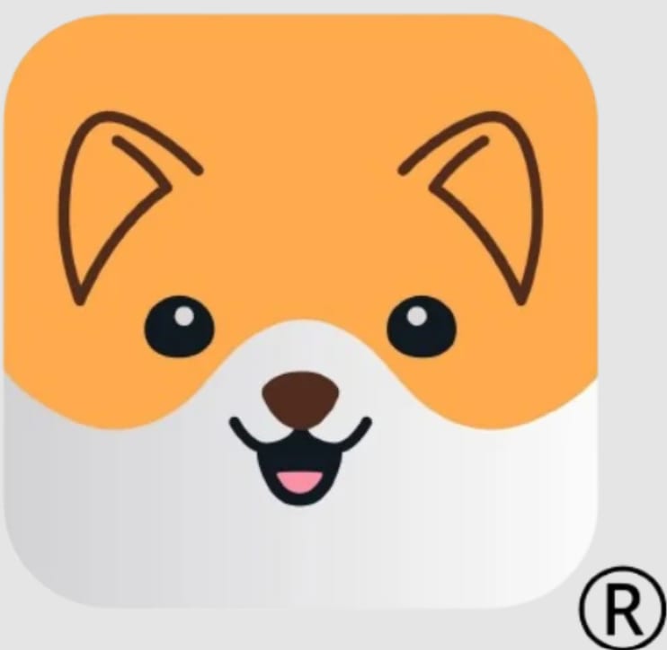 Hatchi — Otros establecimientos pet-friendly en Alicante
