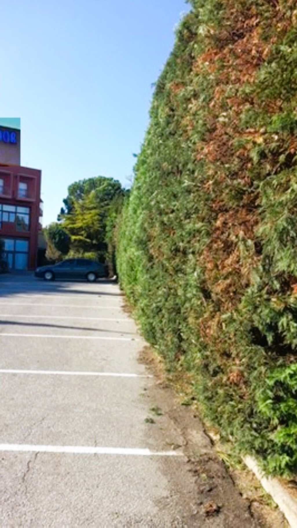 ΚΟΥΡΕΜΑ ΜΕ ΛΟΝΧΟΦΟΡΟ - ΑΠΟΤΕΛΕΣΜΑ ΞΕΝΟΔ..jpg