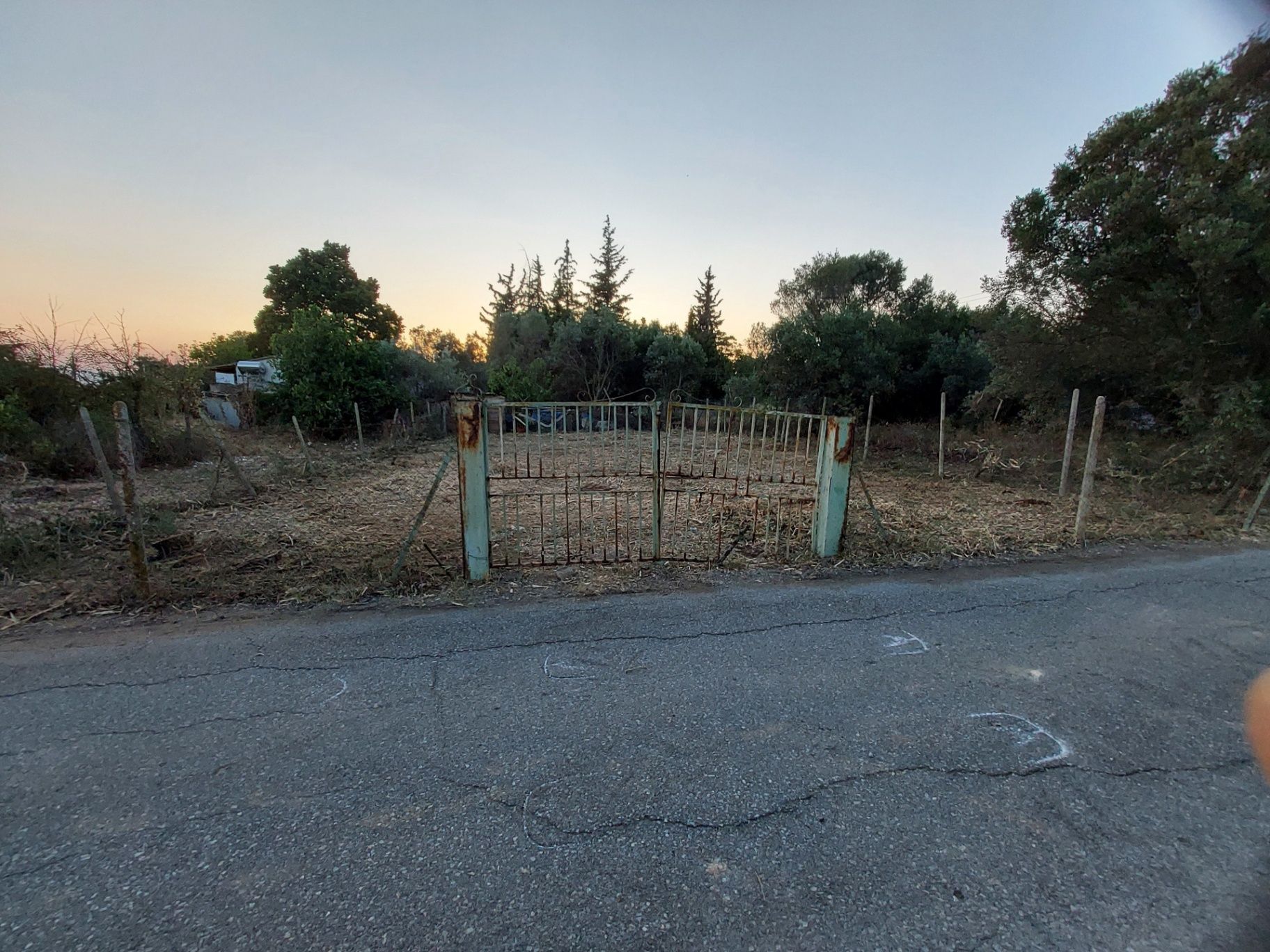 ΣΜΙΛΑ 2 ΜΕΤΑ..jpg