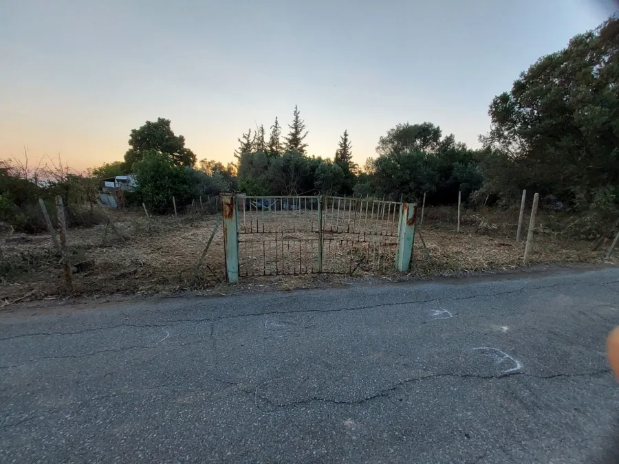 ΣΜΙΛΑ 2 ΜΕΤΑ..jpg