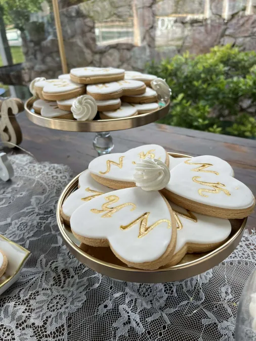 2f1a103c-70db-4f20-8d0d-52b4ee25494e