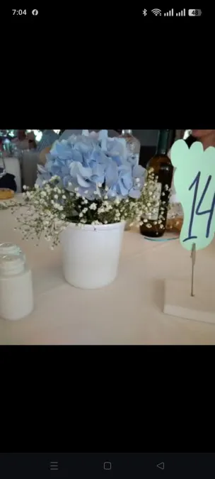 IMG-6e93240c750883661fed1897f903cde7-V