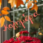 Παναγιώτα Λυμπέρη 