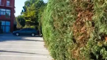 ΚΟΥΡΕΜΑ ΜΕ ΛΟΝΧΟΦΟΡΟ - ΑΠΟΤΕΛΕΣΜΑ ΞΕΝΟΔ..jpg