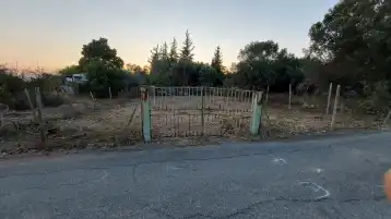 ΣΜΙΛΑ 2 ΜΕΤΑ..jpg