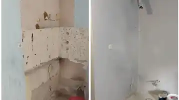 Polish_20240916_004506791_6145a98e71