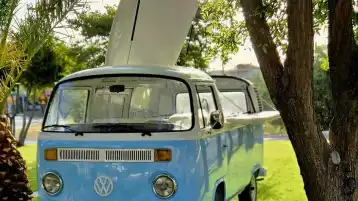 IMG-e81191e9a00c4a519a78b4e9648692ea-V