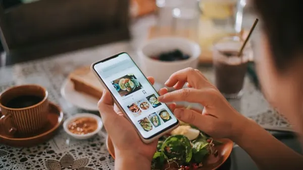 Online delivery Basic Intro.png