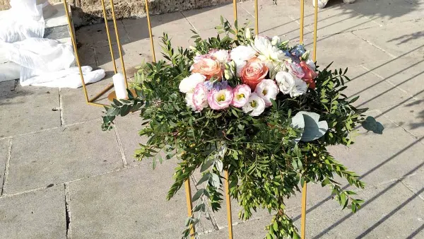 IMG-6c4f2889339062c21c86b1f2b85aae67-V