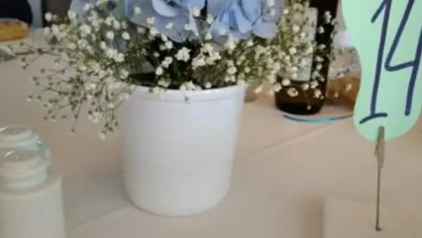 IMG-6e93240c750883661fed1897f903cde7-V