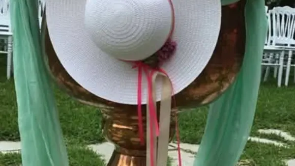 IMG-8a740e702f6c48cd9d1bbb2e7e8fe1d7-V