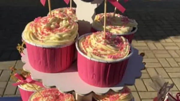 IMG-7663f4534718e3ee97bacded7f126dd2-V