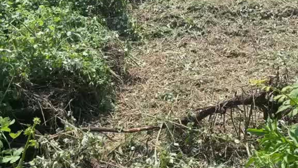 att.7zN7lbP-UZ_10EuZwMxQKjV8ktKzjSyZB3ALe53rmJI.mp4