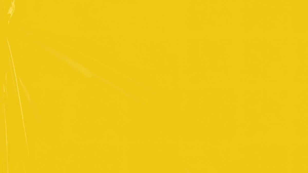 355digital marketing