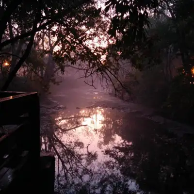 Beyond the Brush: Top AI Image Generators for Professional Designers