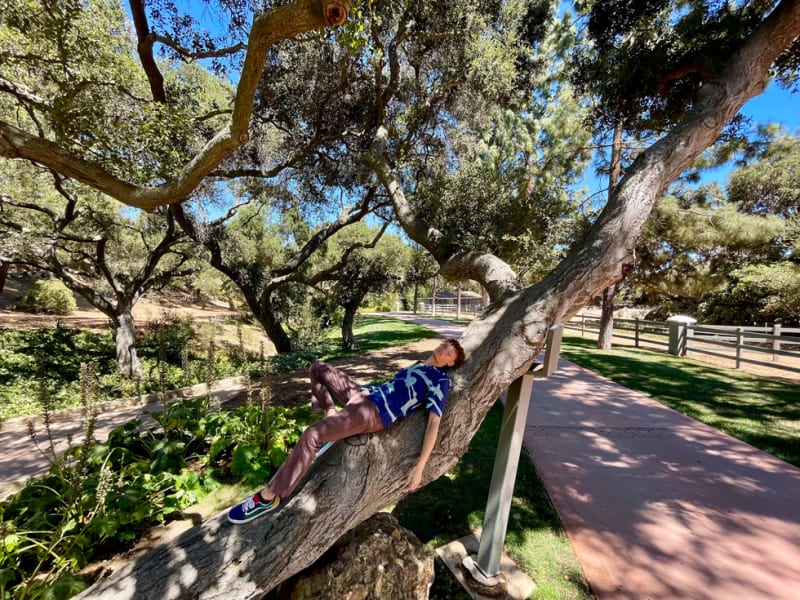 Almost All Day Without Recharge