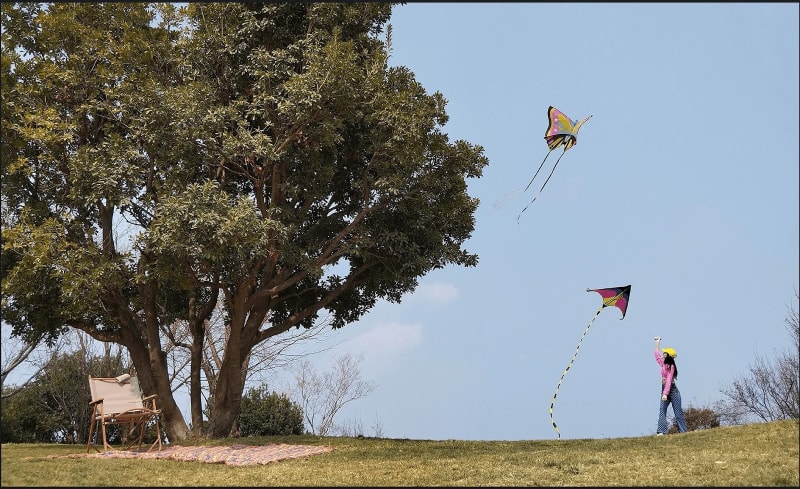 A Camera Combination To Enhance Photographic Experience