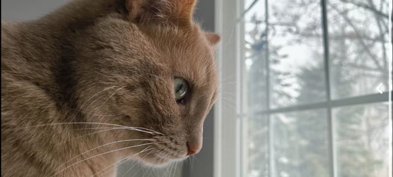 Superior Display With in-depth Colors