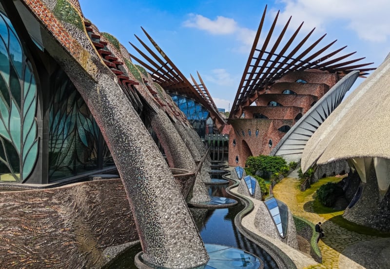 Shoot Videos And Shot Pictures 