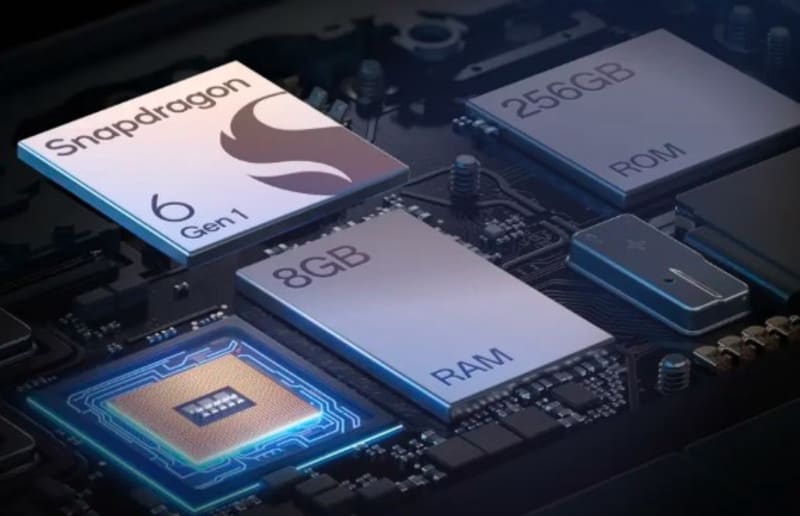 Robust Processor for Reliable Performance