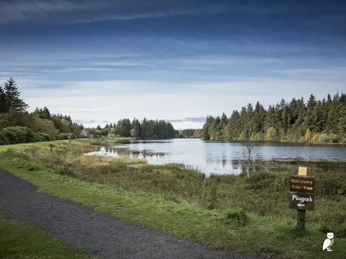 Crombie Country Park