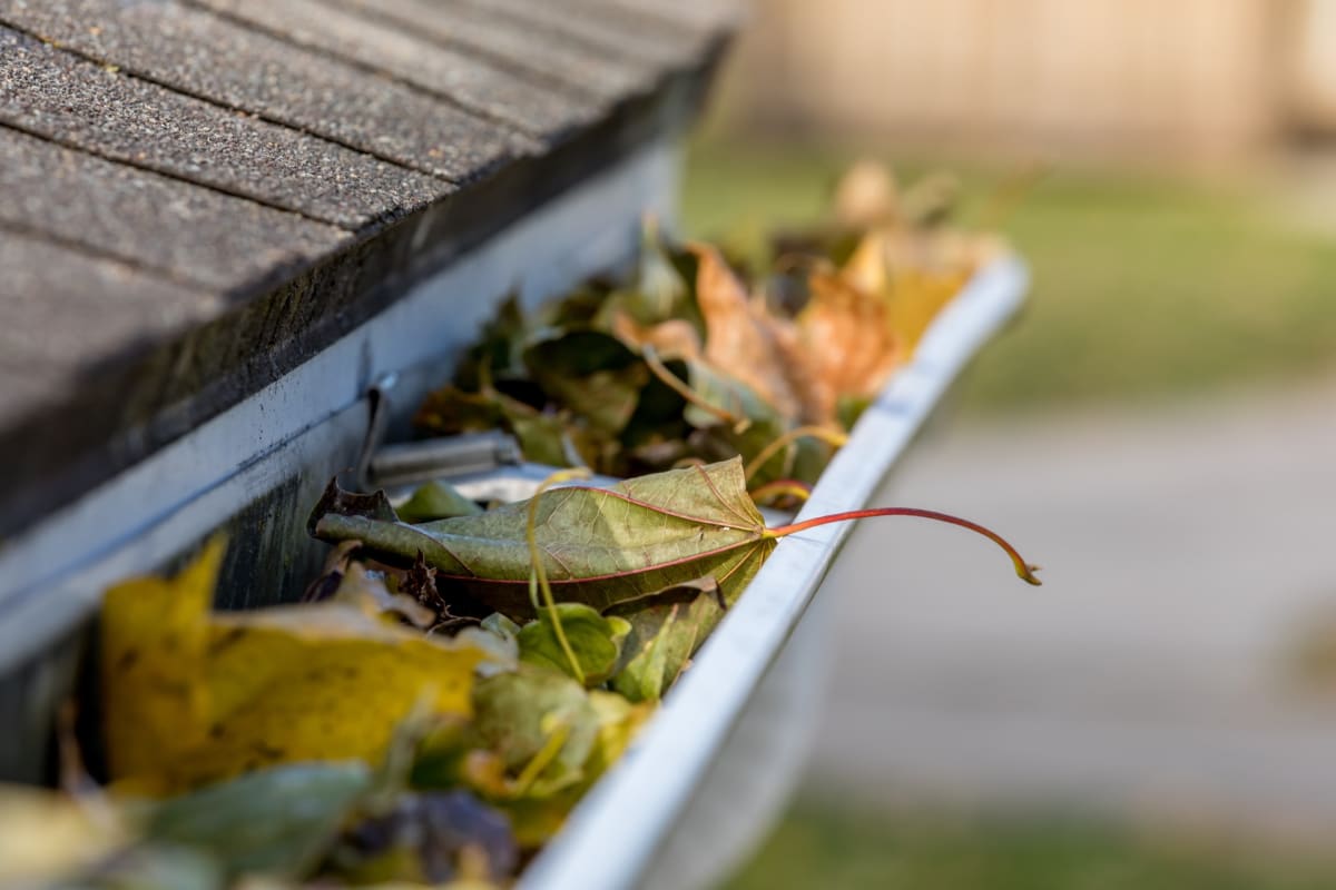 Gutter clearing with SkyVac on a Bristol property — TOUGH