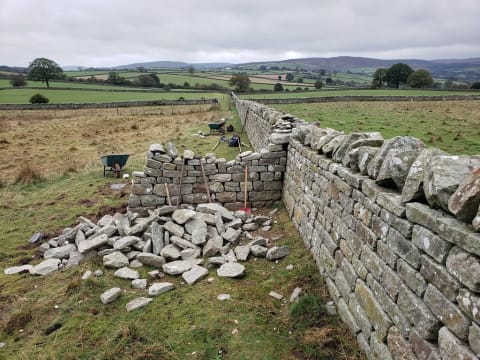 Dry stone dyke restoration near Glamis - Image 2 - Masowa & Son