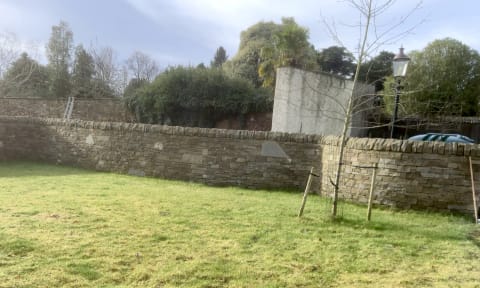 Curved dry stone dyke near Carnoustie - Masowa & Son